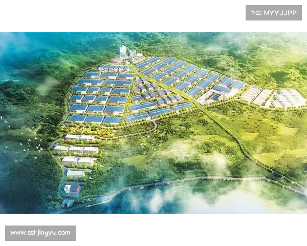 可持续性指标纳入考核 绿色数字技术采购量翻番