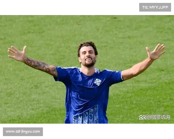 赛场安全事件引发关注，多支球队加装防护网并购买保险